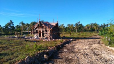 Image / illustration