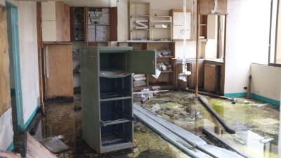 Image / illustration