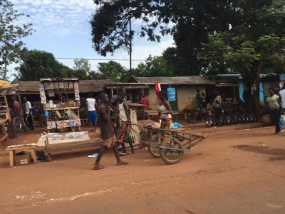 Image / illustration