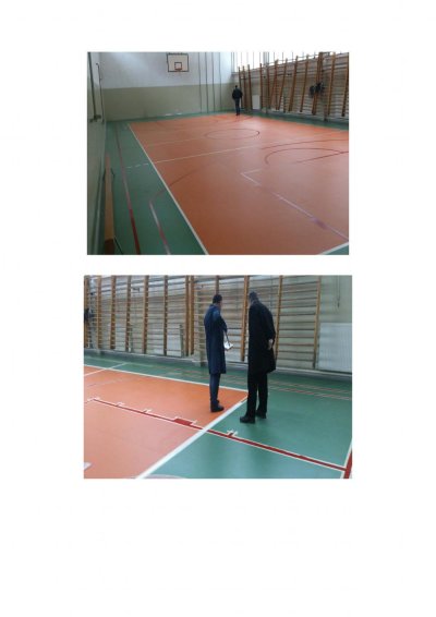 Image / illustration